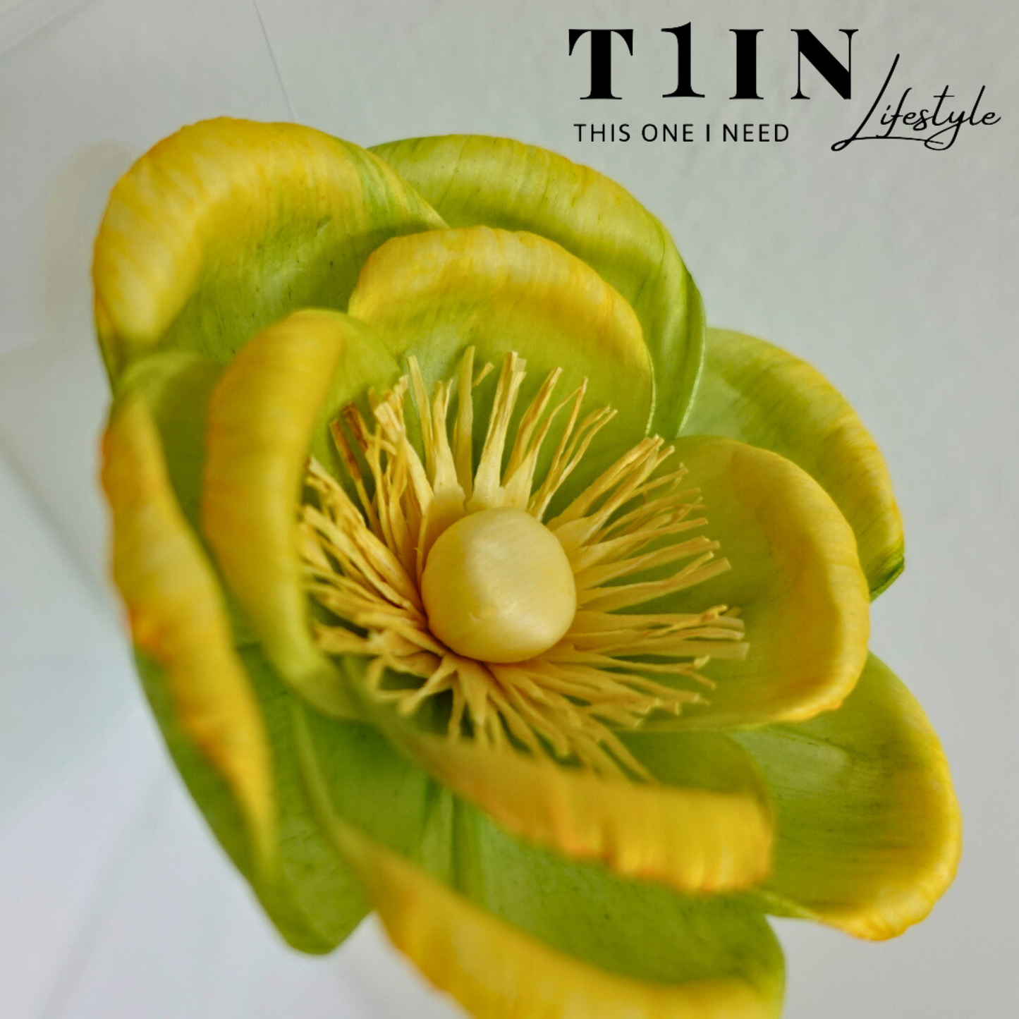 T1IN: 250mL Lemongrass Eucalyptus Mint Diffuser Oil w Sola Flower Diffuser